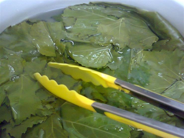 سلق ورق العنب